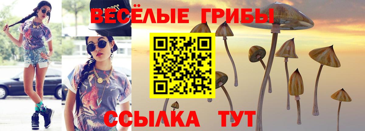 где можно купить наркотик  Псилоцибиновые грибы мухоморы  Вход с VPN  Усинск  Псилоцибиновые грибы мухоморы 